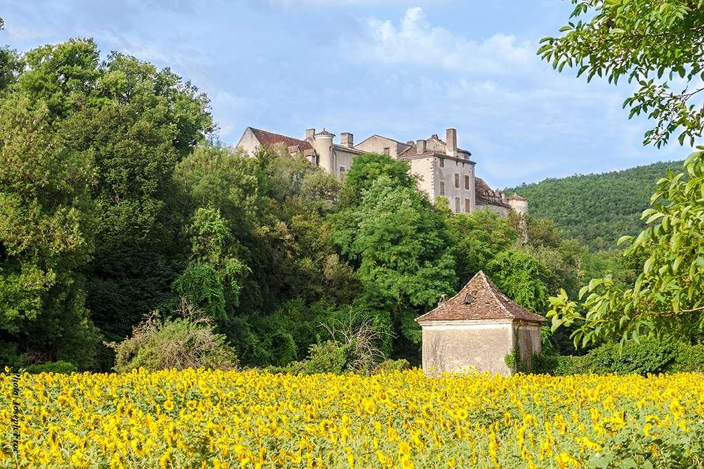 Brit Hotel Cahors - Le France Eksteriør bilde